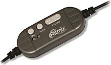 RITMIX RH-533USB