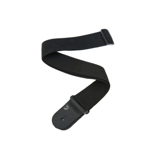 PLANET WAVES PWS100